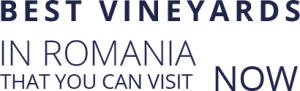Best vineyards in Romania that you can visit now
