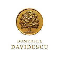 Davidescu Domains