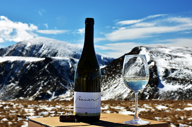 Bauer Menu Recommendation